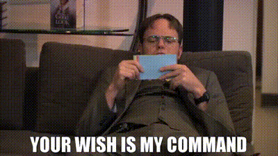 your-wish-is-my-command